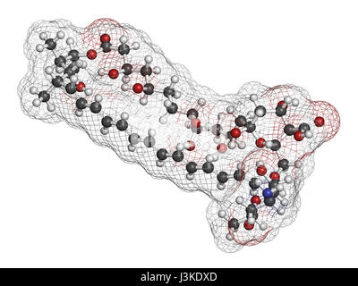 Amphotericin B antifungal drug molecule. Atoms are represented as spheres with conventional color coding: hydrogen (white), carbon (grey), oxygen (red Stock Photo