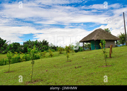 Landscape of the Tsachila community.  Santo Domingo de los Tsachilas.  Pichincha.  Ecuador Stock Photo