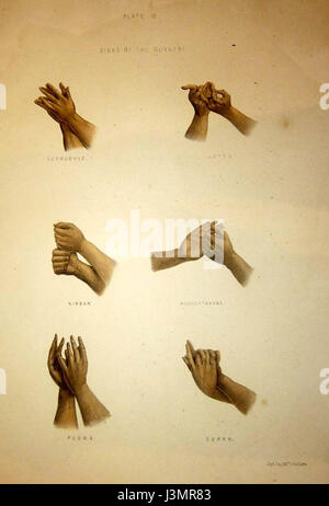 This refers to the study or representation of hand signs, possibly in the context of communication or gesture recognition. The focus is on understanding the meaning and use of hand gestures in various contexts. Stock Photo