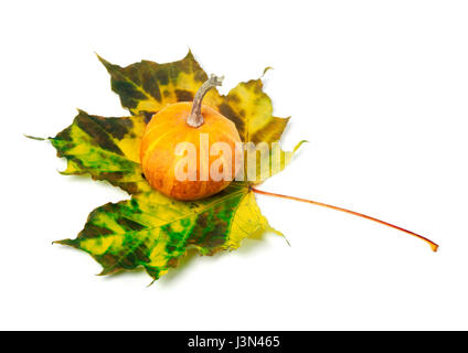 Small decorative pumpkin on autumn multicolor maple-leaf. Isolated on white background Stock Photo