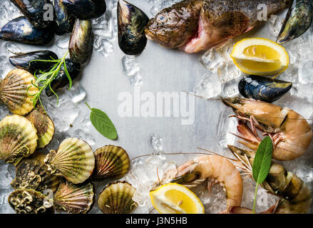 Fresh seafood with herbs and lemon on ice. Prawns, fish, mussels, scallops over steel metal background. Top view, copy space Stock Photo