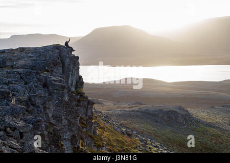 Hiker on a rocky cliff during the sunset. Great atmosphere with light and a spectacular perspective. Tough nature in Iceland. Stock Photo
