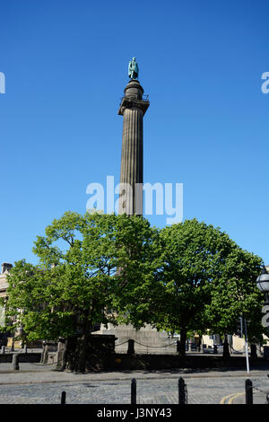 The Wellington Monument situated on St. Georges Plateau at the top of William Brown Street in front of the Walker Art Gallery. Stock Photo