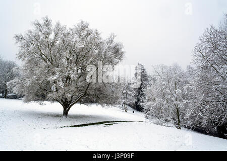 Snow in Waterlow Park, North London, UK Stock Photo