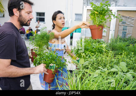 Miami Beach Florida,Joseph Valleri Victory Garden,community garden,vegetable,vegetables,herbs,organic,plants,plant sale,fresh produce,horticulture,adu Stock Photo