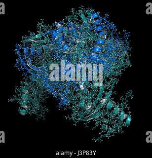 Molecular model of the Ebola viral protein 35 (VP35, red) bound to a ...