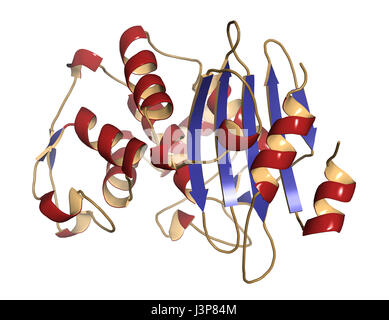 Beta-lactamase enzyme from Staphylococcus aureus. Responsible for resistance against penicillin and related antibiotics. Cartoon model, secondary stru Stock Photo