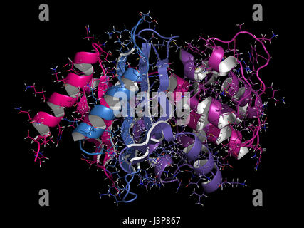 Carbapenemase carbapenem antibiotic resistance enzyme. Carbapenemase OXA-24 from the bacterium Acinetobacter baumannii. Cartoon + line model; N-to-C g Stock Photo