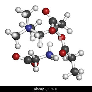 GPLC (glycine propionyl-L-carnitine) nutritional supplement molecule.  Atoms are represented as spheres with conventional color coding: hydrogen (whit Stock Photo