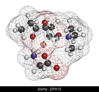 GPLC (glycine propionyl-L-carnitine) nutritional supplement molecule.  Atoms are represented as spheres with conventional color coding: hydrogen (whit Stock Photo