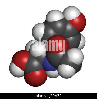 Tyrosine L Tyrosine Tyr Y Amino Acid Molecule Stylized Skeletal Formula Chemical Structure