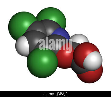 Triclopyr herbicide (broadleaf weed killer) molecule. Atoms are represented as spheres with conventional color coding: hydrogen (white), carbon (grey) Stock Photo