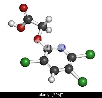 Triclopyr herbicide (broadleaf weed killer) molecule. Atoms are represented as spheres with conventional color coding: hydrogen (white), carbon (grey) Stock Photo