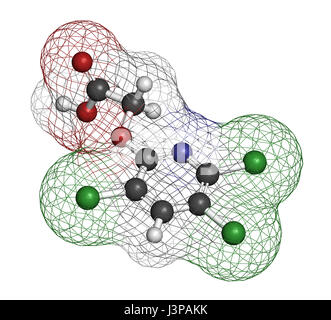 Triclopyr herbicide (broadleaf weed killer) molecule. Atoms are represented as spheres with conventional color coding: hydrogen (white), carbon (grey) Stock Photo