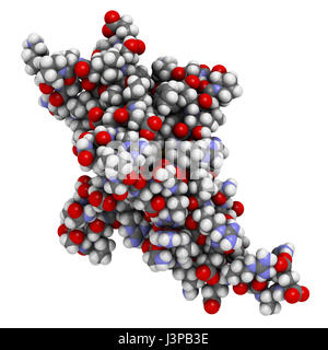 Programmed cell death 1 (PD-1, CD279) receptor protein. PD-1 is a major cancer drug target. Atoms are represented as spheres with conventional color c Stock Photo