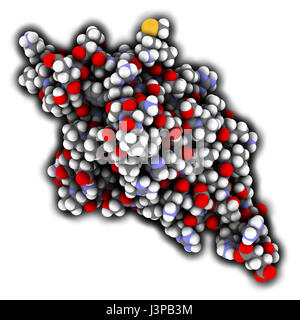 Programmed cell death 1 (PD-1, CD279) receptor protein. PD-1 is a major cancer drug target. Atoms are represented as spheres with conventional color c Stock Photo