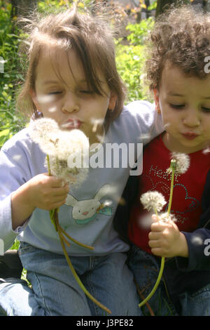 Two little girls blowing into dandelion puffs Stock Photo