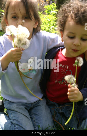 Two little girls blowing into dandelion puffs Stock Photo