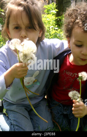 Two little girls blowing into dandelion puffs Stock Photo