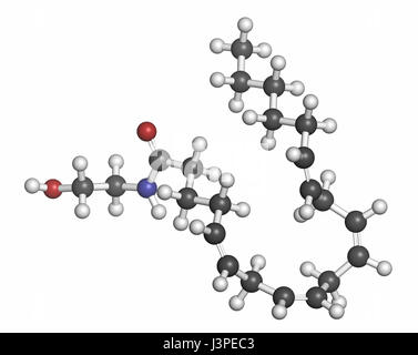 Anandamide Laboratorium マヤドレス ターバン付き