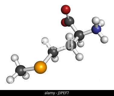 Selenomethionine amino acid molecule. Selenium containing natural analog of methionine. Atoms are represented as spheres with conventional color codin Stock Photo