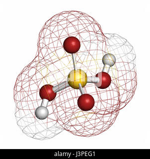 Molecular model of Sulphuric Acid Stock Photo - Alamy