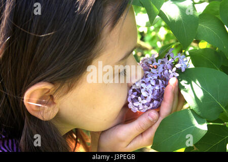 Little girl smelling lilac flower in the garden Stock Photo
