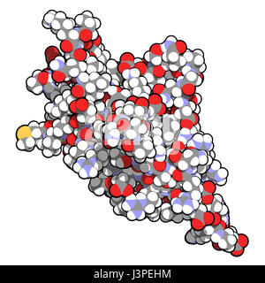 Programmed cell death 1 (PD-1, CD279) receptor protein. PD-1 is a major cancer drug target. Atoms are represented as spheres with conventional color c Stock Photo