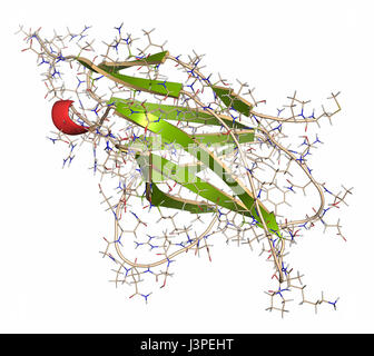 Programmed cell death 1 (PD-1, CD279) receptor protein. PD-1 is a major cancer drug target. Cartoon + line representation. Secondary structure colorin Stock Photo