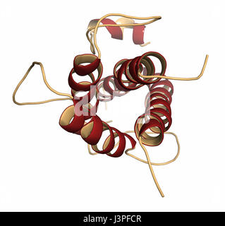 Human growth hormone (hGH, Somatotropin) molecule. Natural hormone that is used both as a drug and as a doping agent. Cartoon representation with seco Stock Photo