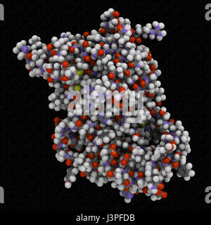 Human growth hormone (hGH, Somatotropin) molecule. Natural hormone that is used both as a drug and as a doping agent. Atoms are represented as spheres Stock Photo