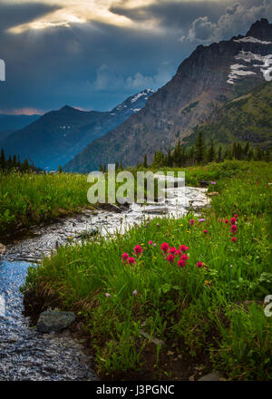 Glacier National Park is a national park located in the U.S. state of Montana, on the Canada–United States border with the Canadian provinces of Alber Stock Photo