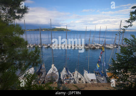 View on the beautiful sea bay with yachts through pine tree branches Stock Photo