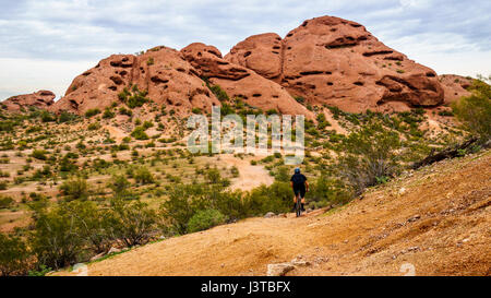 Mountain Biker coming down a Trail on the red sandstone buttes of Papago Park, with its many caves and crevasses caused by erosion Stock Photo