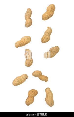 Falling peanuts on a white background. Stock Photo