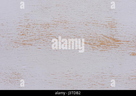 Light wood texture. Bleached oak. The texture is close, paint white Stock Photo
