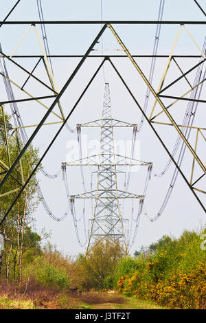 spanning pylons voltage elbe river near power line alamy electricity underneath allerthorpe common taken similar