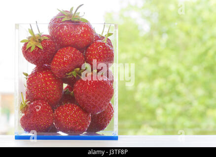 Strawberries in a square box with dof. Stock Photo