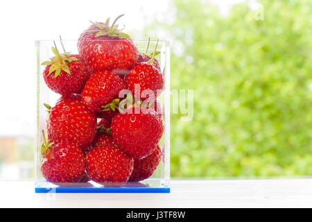 Strawberries in a square box with dof. Stock Photo
