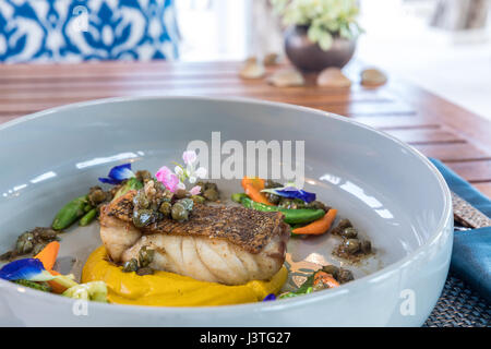 grilled grouper fillet steak with sweet Mashed potato Stock Photo