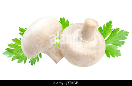 Champignon mushroom isolated on white background Stock Photo