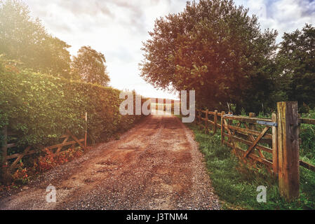 Beautiful English countryside. Stunning landscape over English countryside landscape in Summer sunrise. English country lane at sunrise. Stock Photo