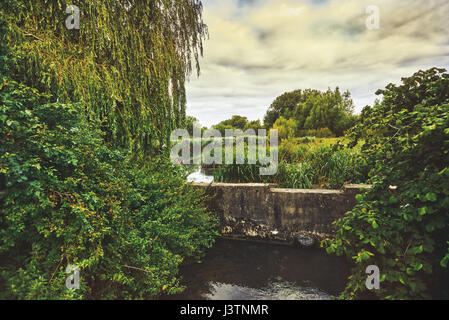 Beautiful English countryside. Stunning landscape over English countryside landscape in Summer sunset. Pond. Stock Photo