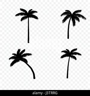 Palm tree silhouette set Stock Vector