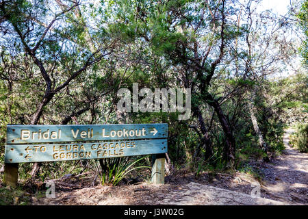 Blue Mountains national park sign for Bridal Veil waterfall Lookout, New south wales,Australia Stock Photo