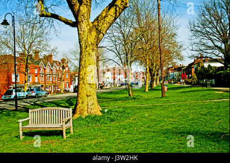 tree lined high street Tenterden, Kent Stock Photo