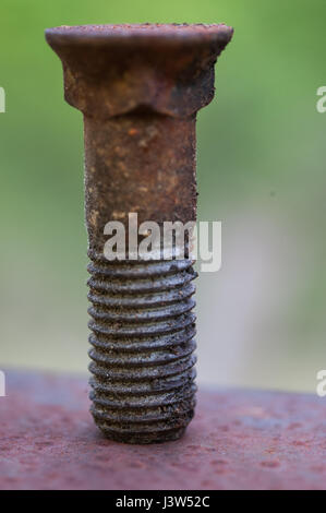 Rusty bolt on top of a red plate with shallow depht of field Stock Photo