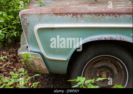 Detail of a rusty green car abandoned by the side of the road Stock Photo