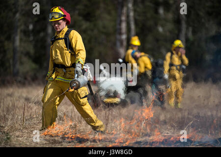 U.S. Air Force Senior Airman Grant Kopplin, a fire protection specialist assigned to the 673d Civil Engineer Squadron, uses a drip torch to light a back fire during a controlled burn at the Infantry Platoon Battle Course on Joint Base Elmendorf-Richardson, Alaska, May 4, 2017. Controlled burns consume accumulated dry brush and grass thereby reducing the risk of wildfires. Kopplin is a native of Willard, Mo. (U.S. Air Force photo by Alejandro Pena) Stock Photo