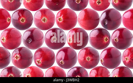 Cranberries pattern. Seamless background with fresh cranberry fruits isolated on white background with clipping path